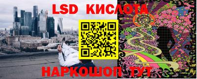 гидропоника Ставрополь